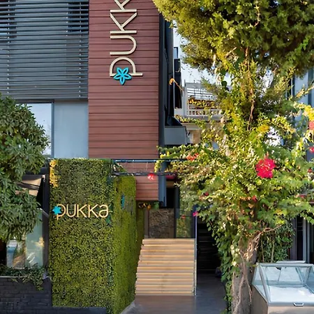 Pukka