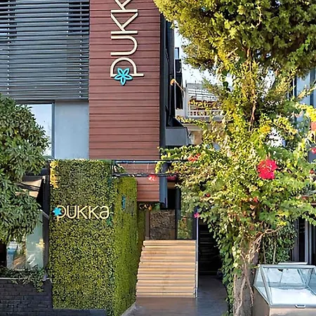 Pukka 3*